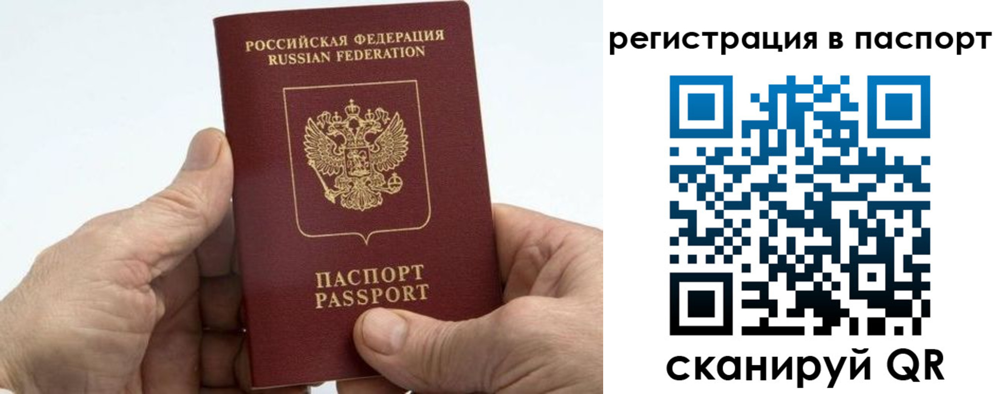 временная регистрация гарантия в Брянске